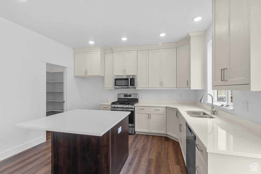 Kitchen featuring stainless steel appliances, dark wood-style floors, light countertops, and recessed lighting