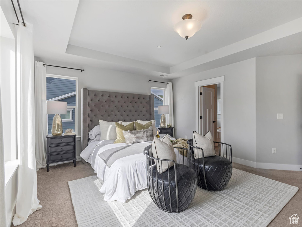 Carpeted bedroom with a tray ceiling