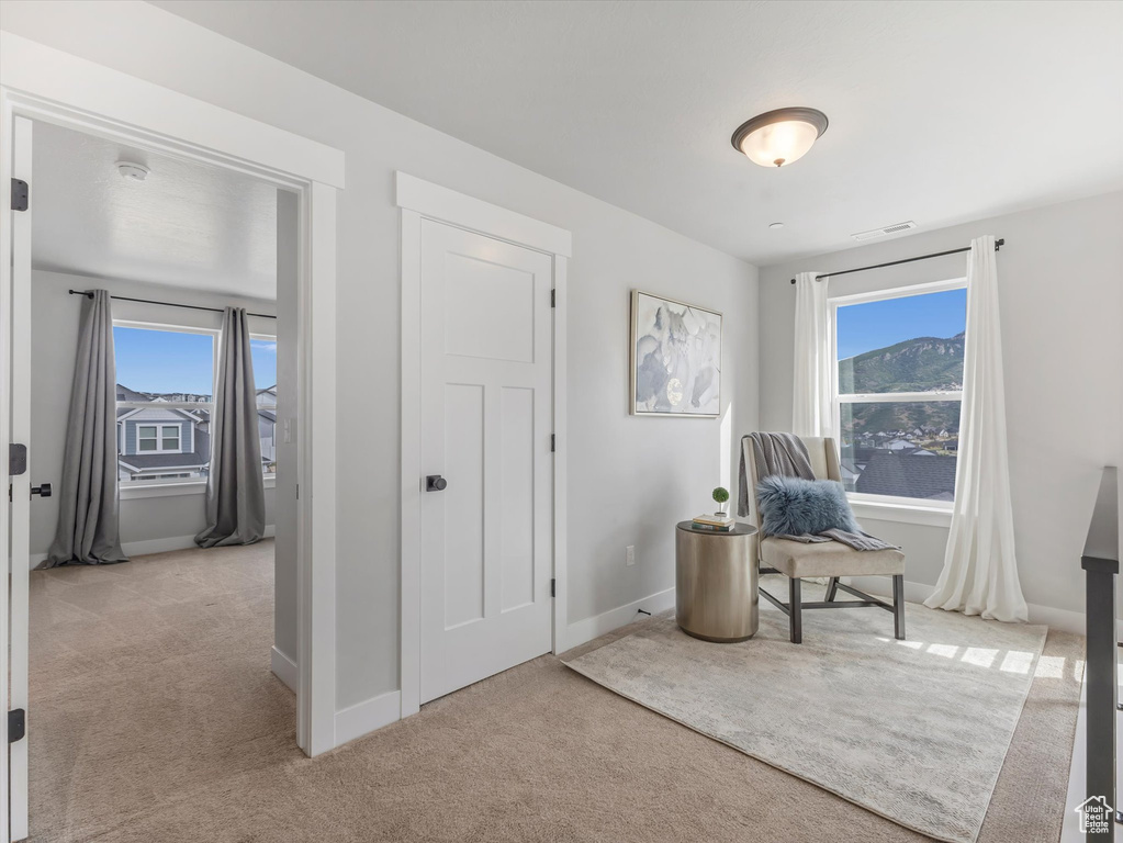Office with light carpet and healthy amount of natural light