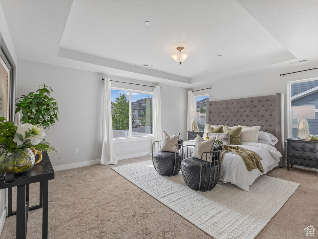 Bedroom with a raised ceiling and light colored carpet