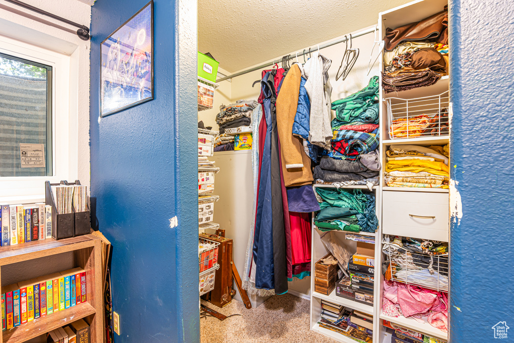 Walk in closet featuring carpet
