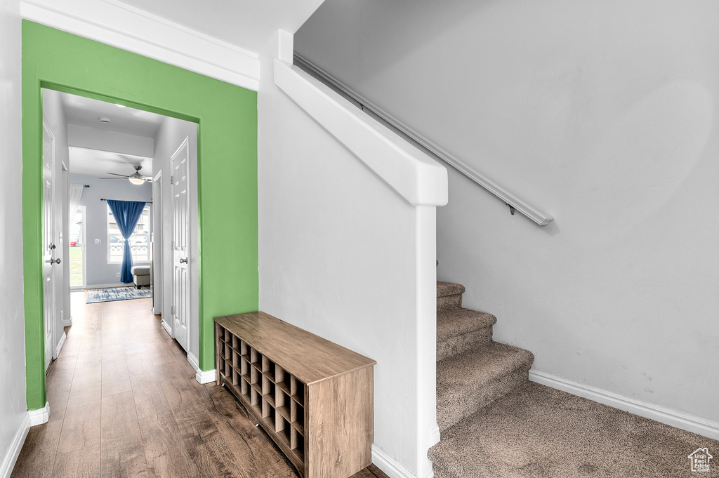 Staircase with ceiling fan and wood finished floors