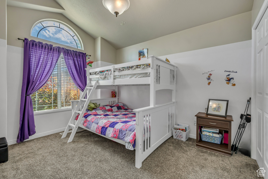 Carpeted bedroom featuring lofted ceiling and multiple windows