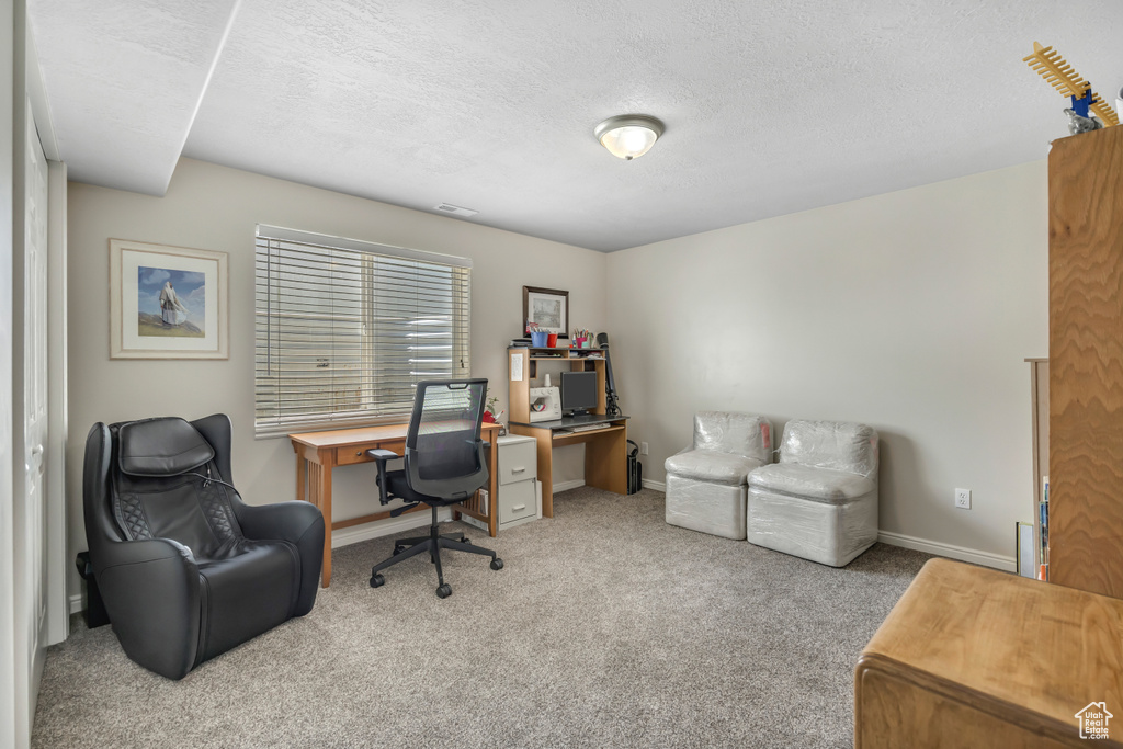 Office space with carpet floors and a textured ceiling