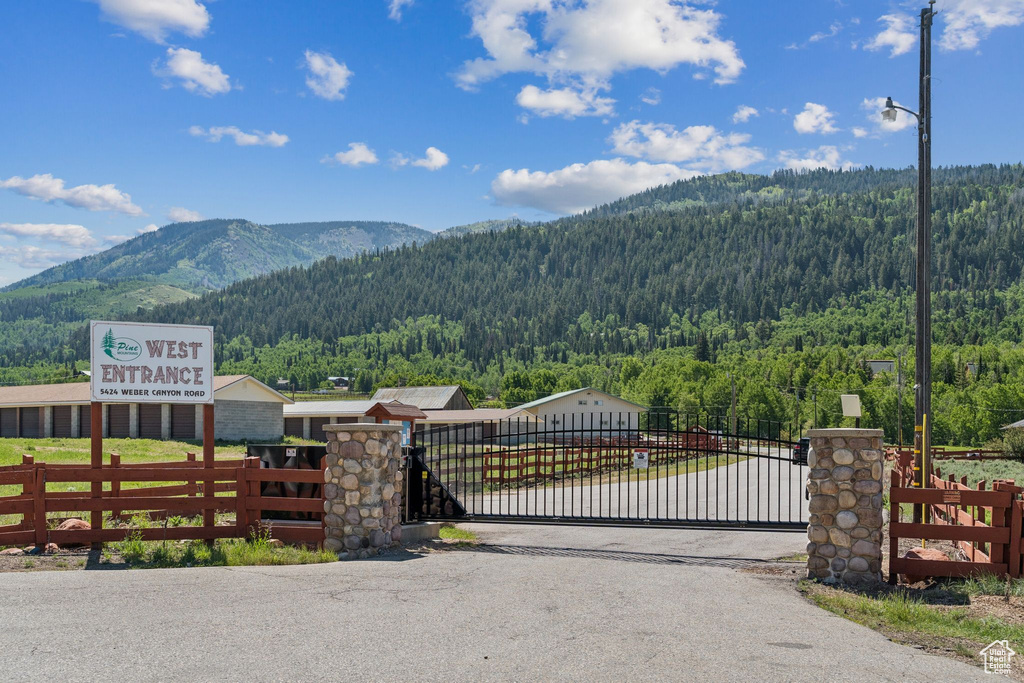 View of mountain background featuring a heavily wooded area