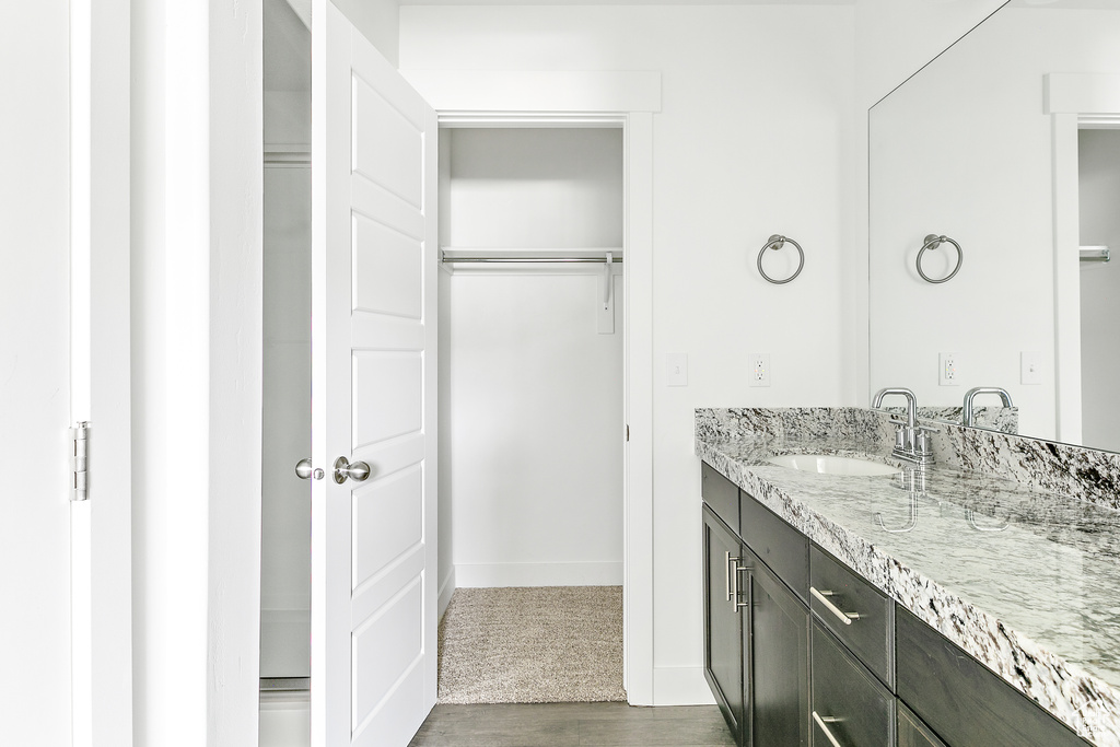 Bathroom with vanity, a spacious closet, and wood finished floors