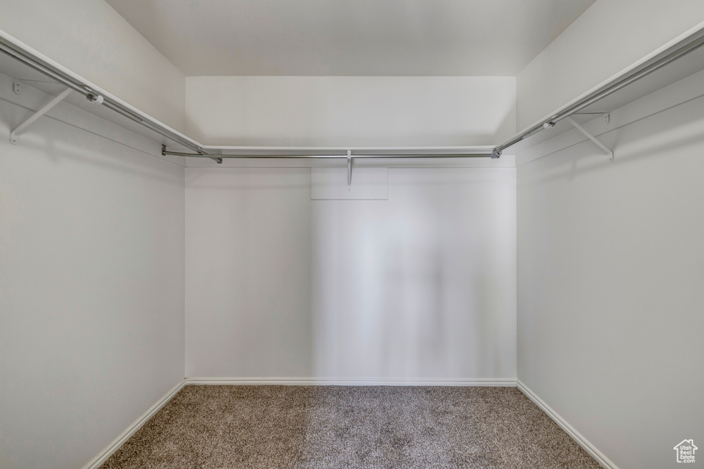 Spacious closet featuring carpet