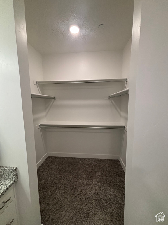 Walk in closet with dark colored carpet