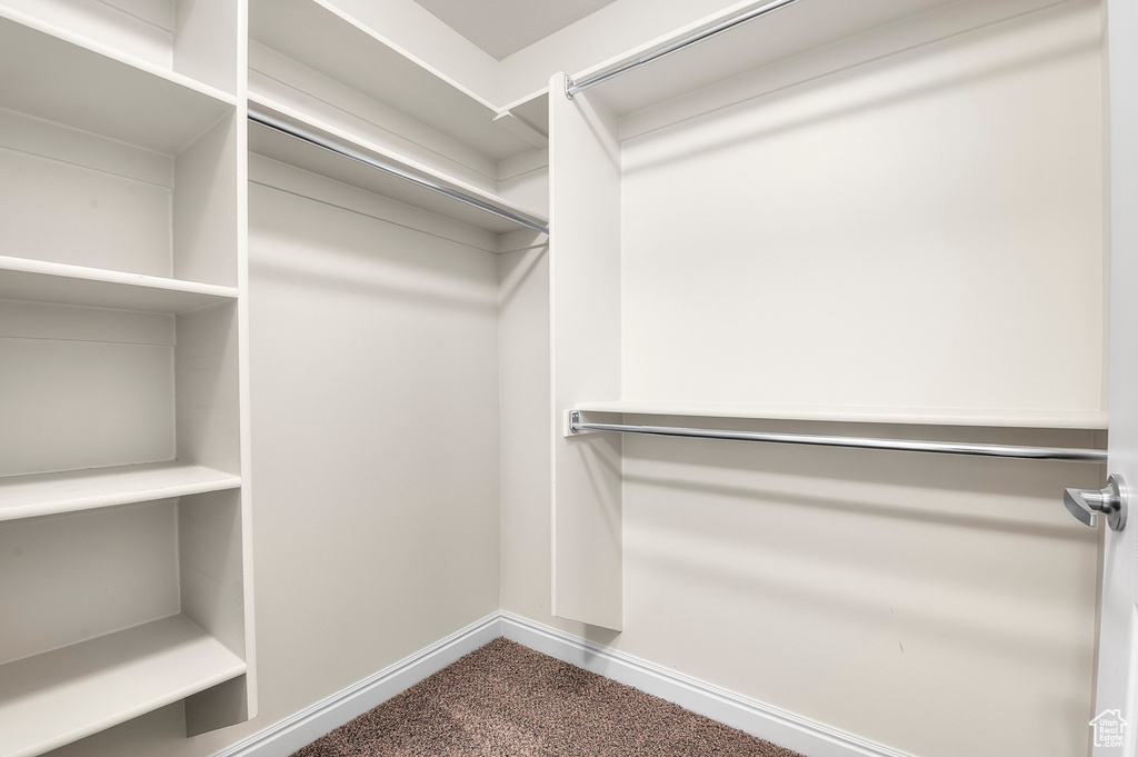 Walk in closet featuring dark colored carpet