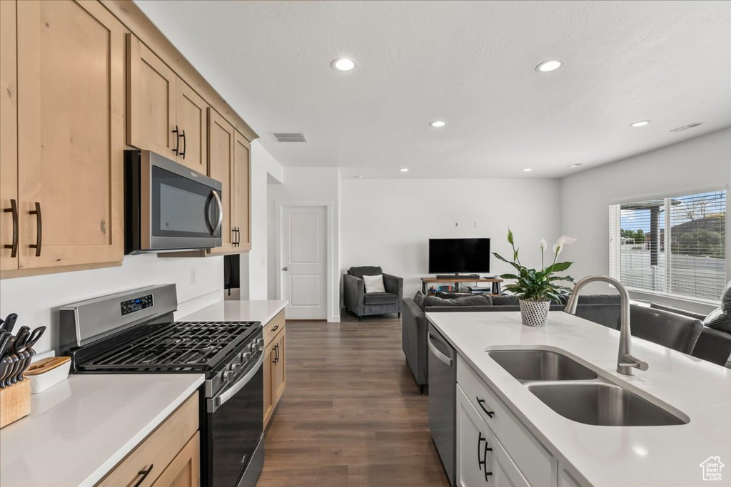 Kitchen featuring stainless steel appliances, light countertops, dark wood-style flooring, recessed lighting, and light brown cabinets
