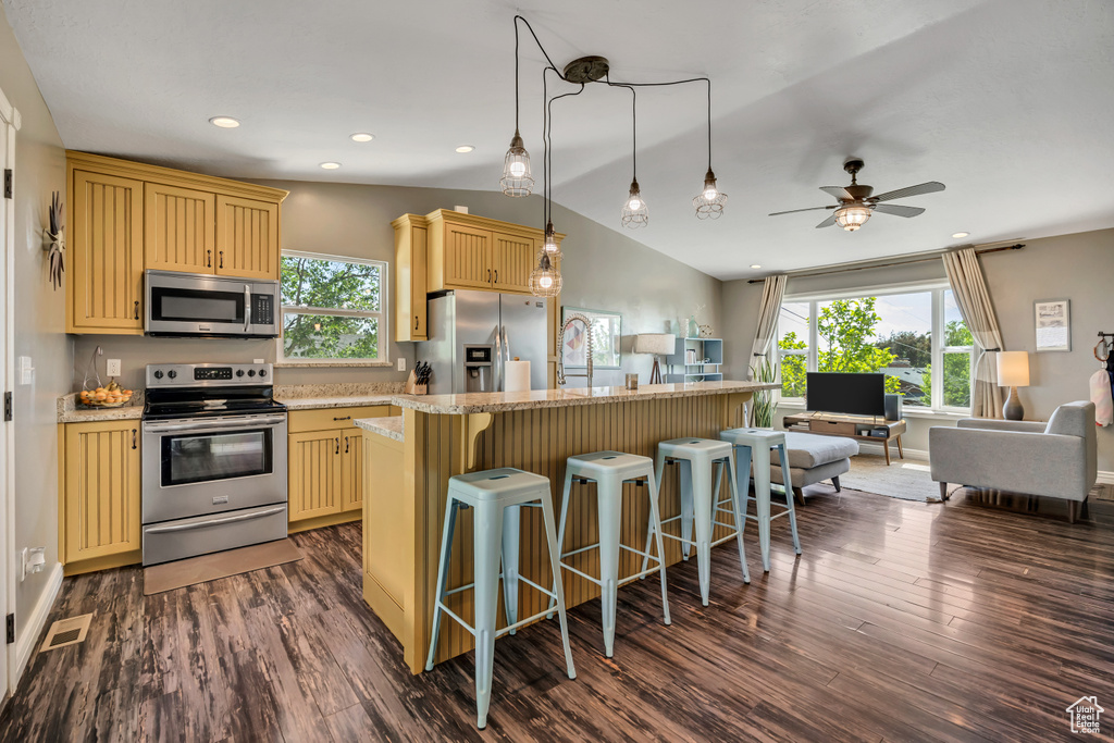 Kitchen featuring appliances with stainless steel finishes, open floor plan, dark wood-style flooring, lofted ceiling, and plenty of natural light