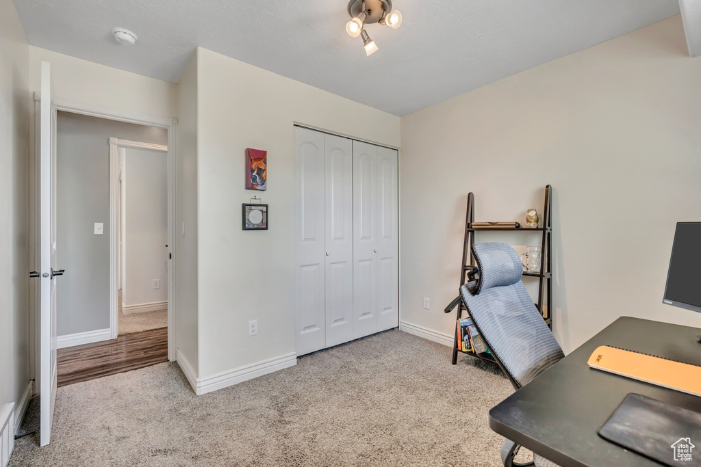 Office featuring carpet floors
