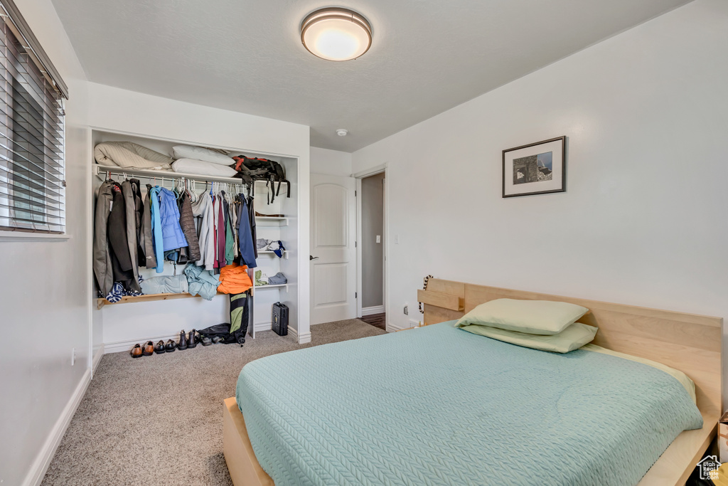Carpeted bedroom with a closet and baseboards