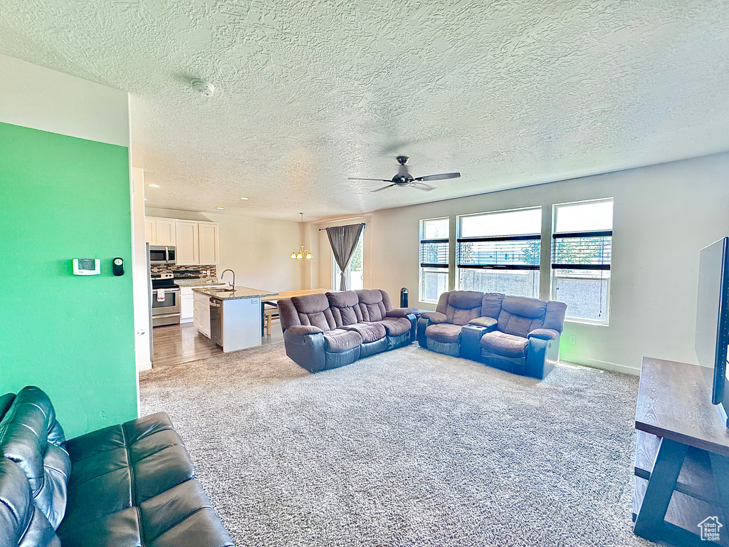 Living area featuring carpet flooring, a ceiling fan, and a textured ceiling