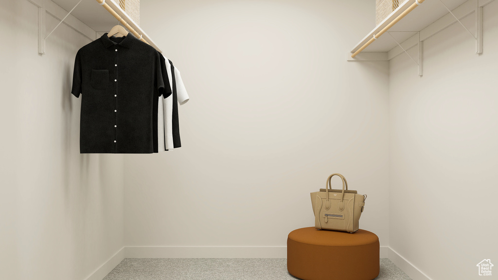 Spacious closet featuring carpet floors