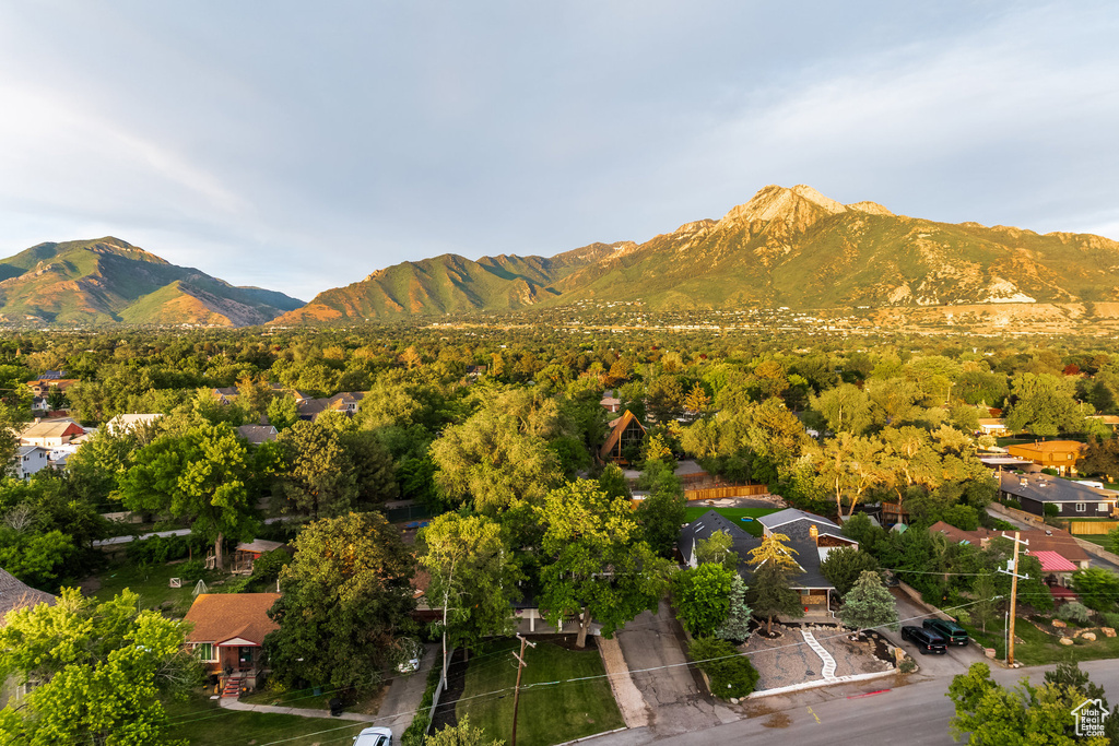 Mountain view