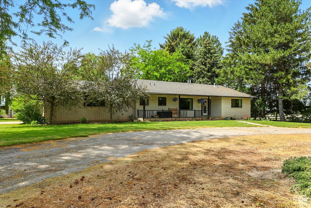 Ranch-style home with curved driveway, a front lawn, brick siding, and covered porch