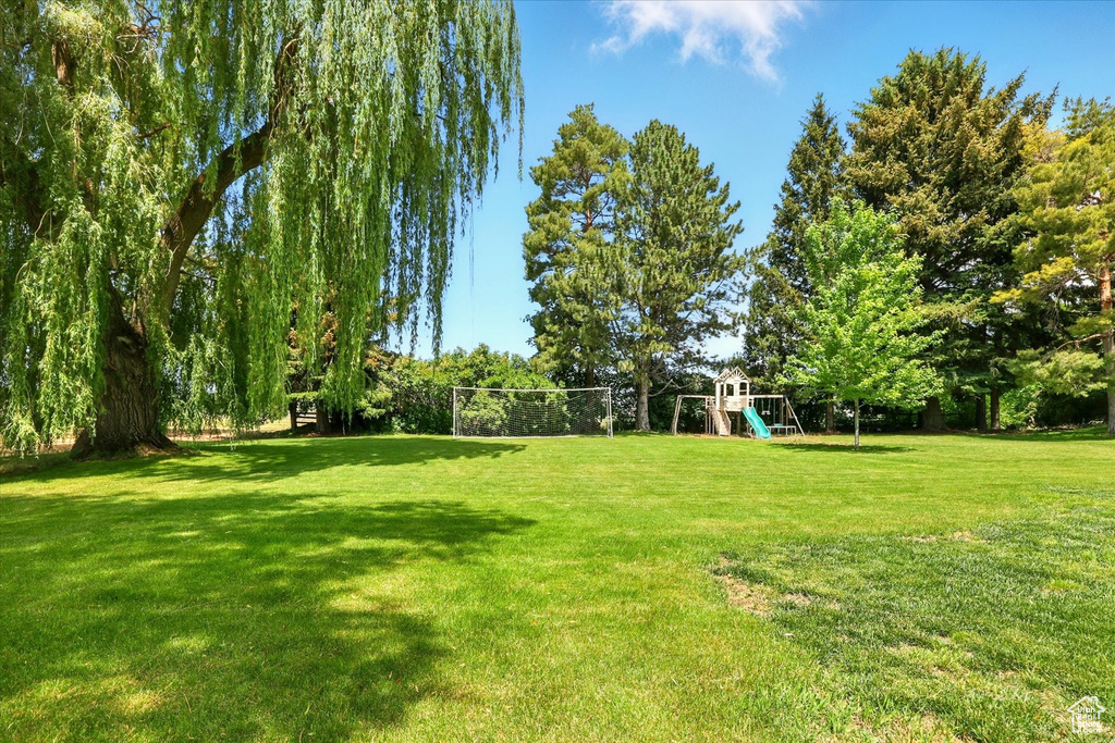 View of green lawn