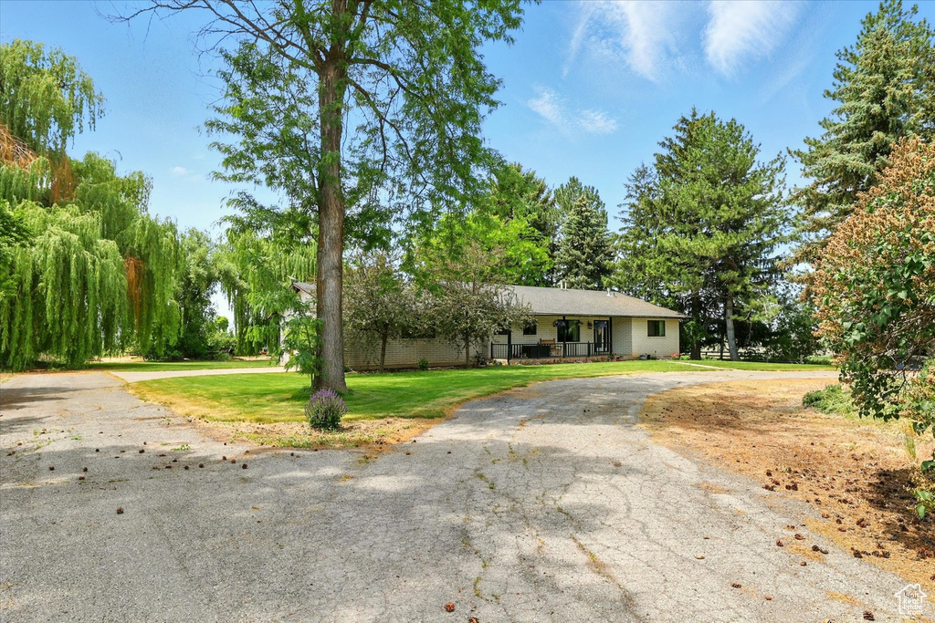 Ranch-style house with driveway and a front lawn
