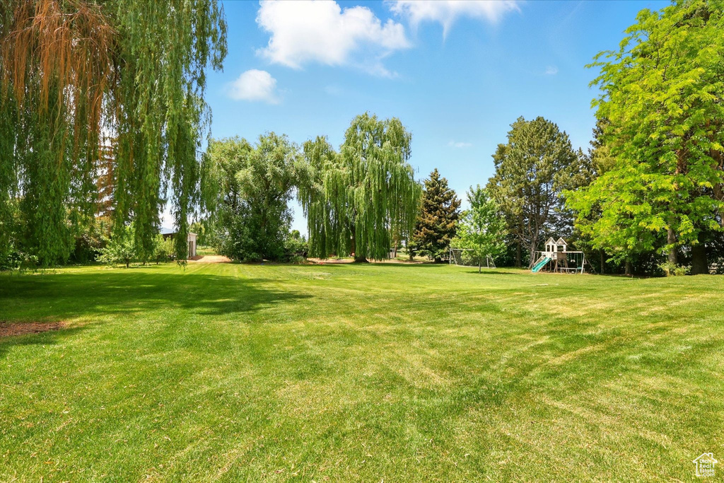 View of green lawn featuring view of wooded area