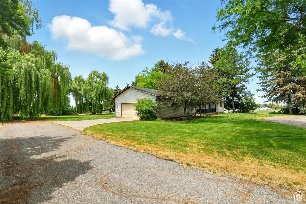 View of property hidden behind natural elements featuring concrete driveway, a front yard, and a garage
