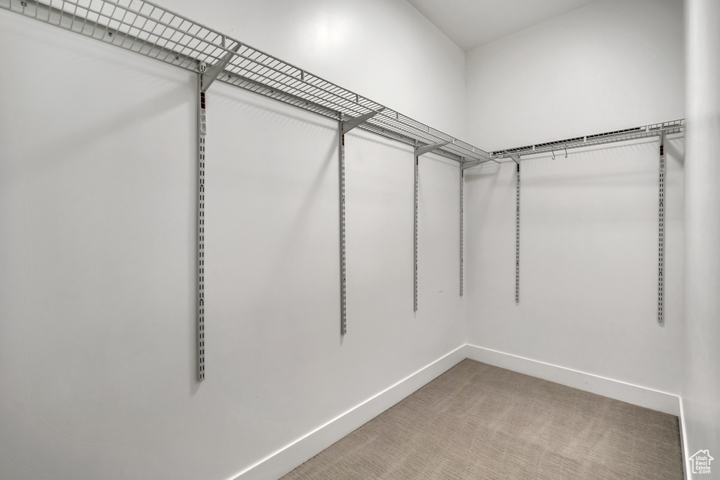 Spacious closet featuring light carpet
