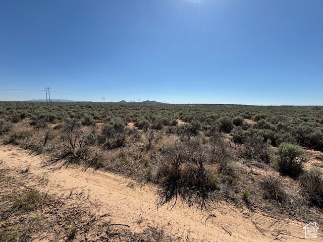 View of undeveloped land