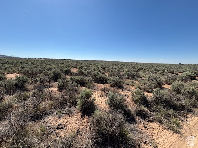 View of undeveloped land
