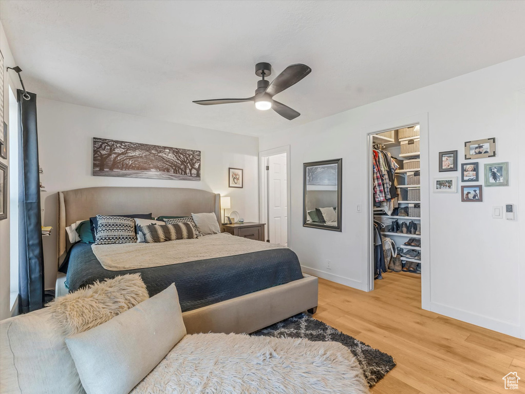 Bedroom with a walk in closet, light wood-style flooring, a closet, and a ceiling fan