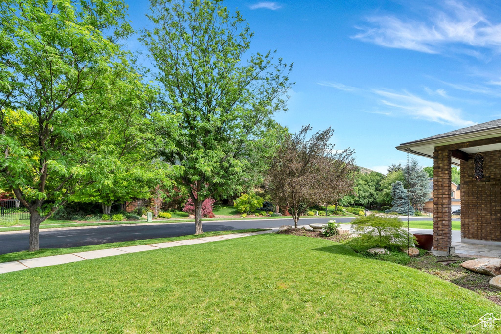 View of grassy yard
