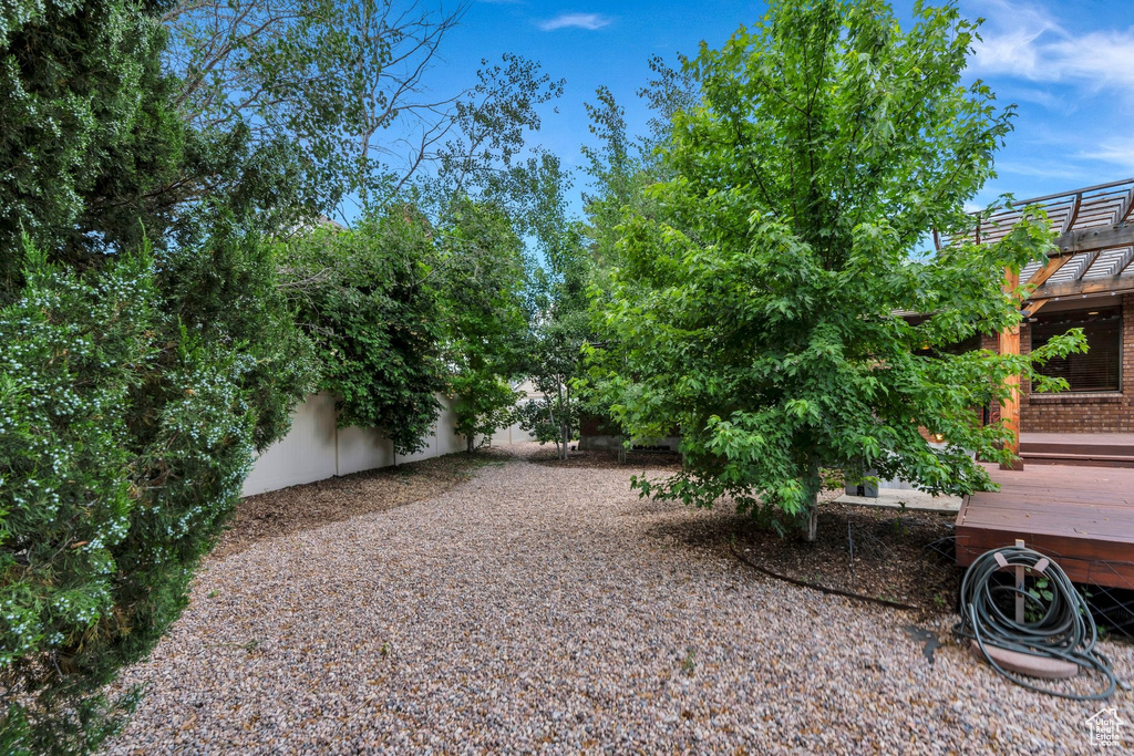 View of yard