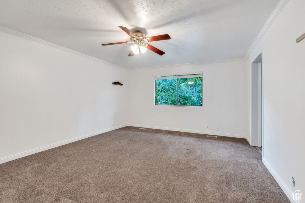 Carpeted empty room featuring ceiling fan and ornamental molding