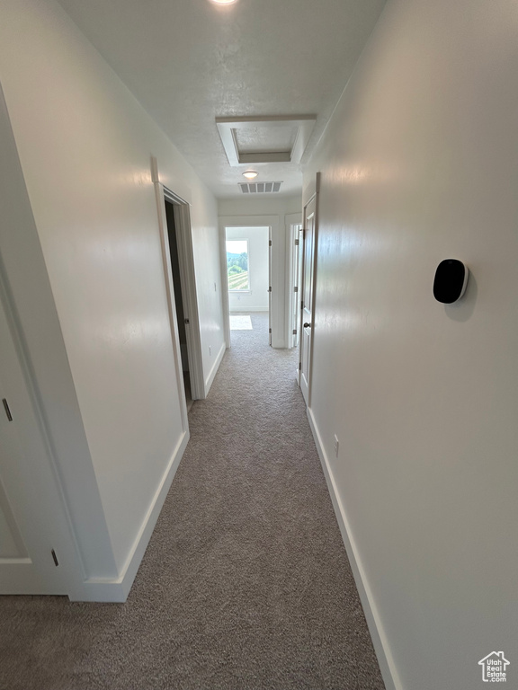 Corridor with carpet flooring and attic access