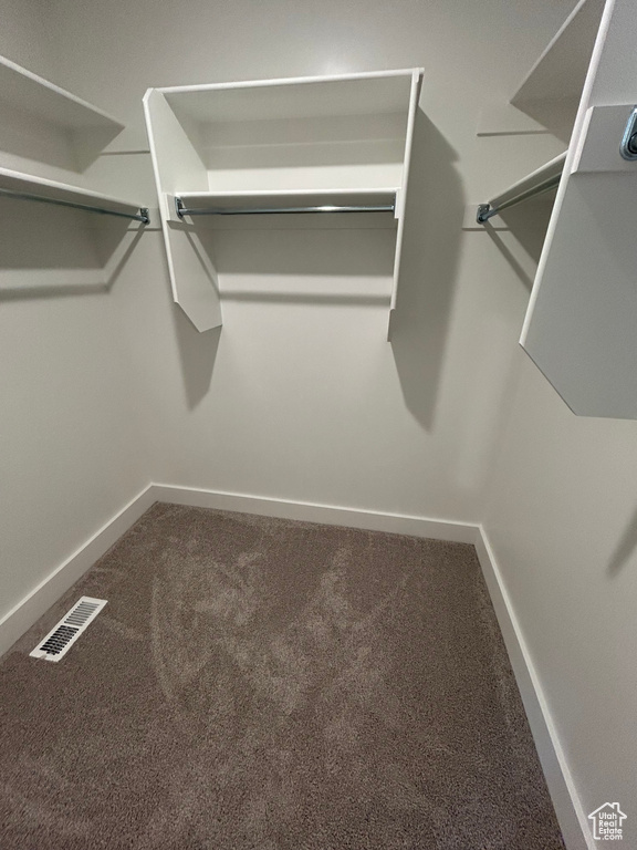 Spacious closet featuring carpet