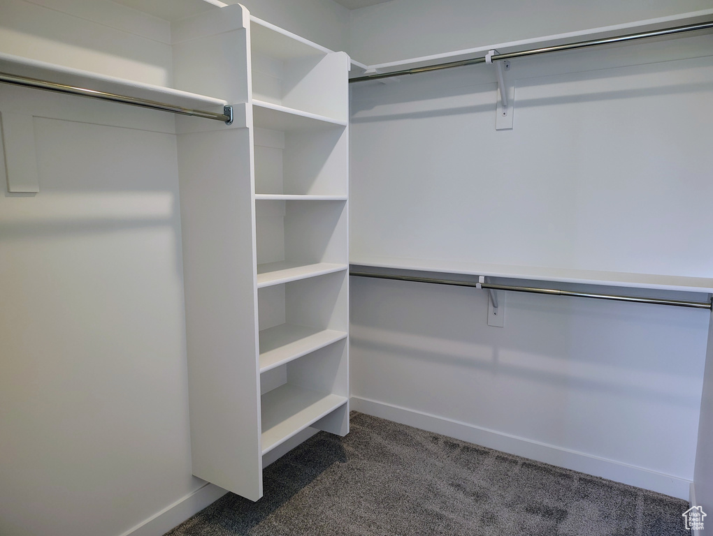 Spacious closet featuring dark colored carpet