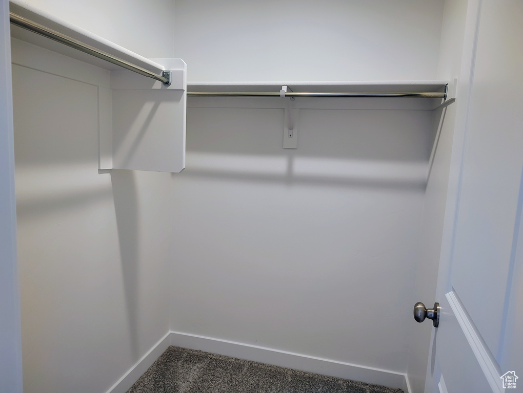 Spacious closet featuring dark carpet