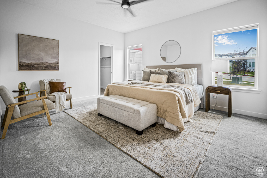 Carpeted bedroom with a walk in closet and a ceiling fan