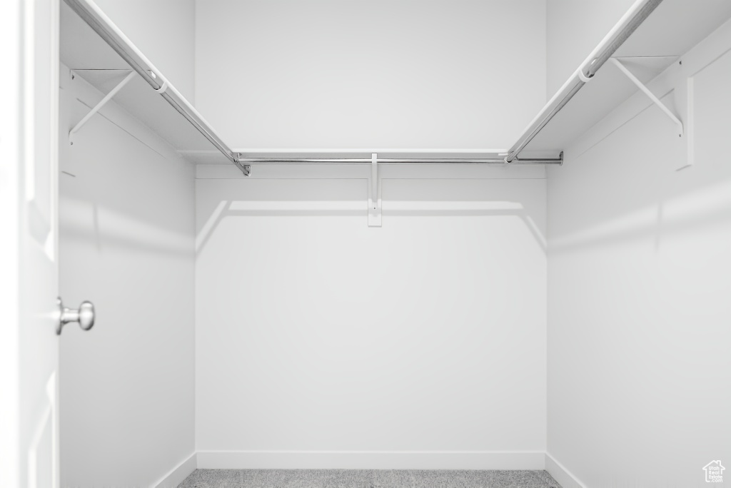 Spacious closet featuring carpet