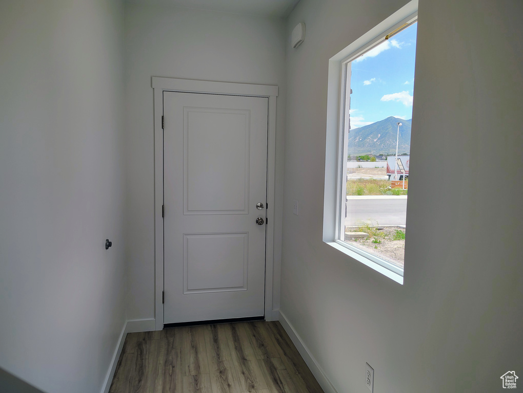 Entryway with light wood finished floors and a mountain view