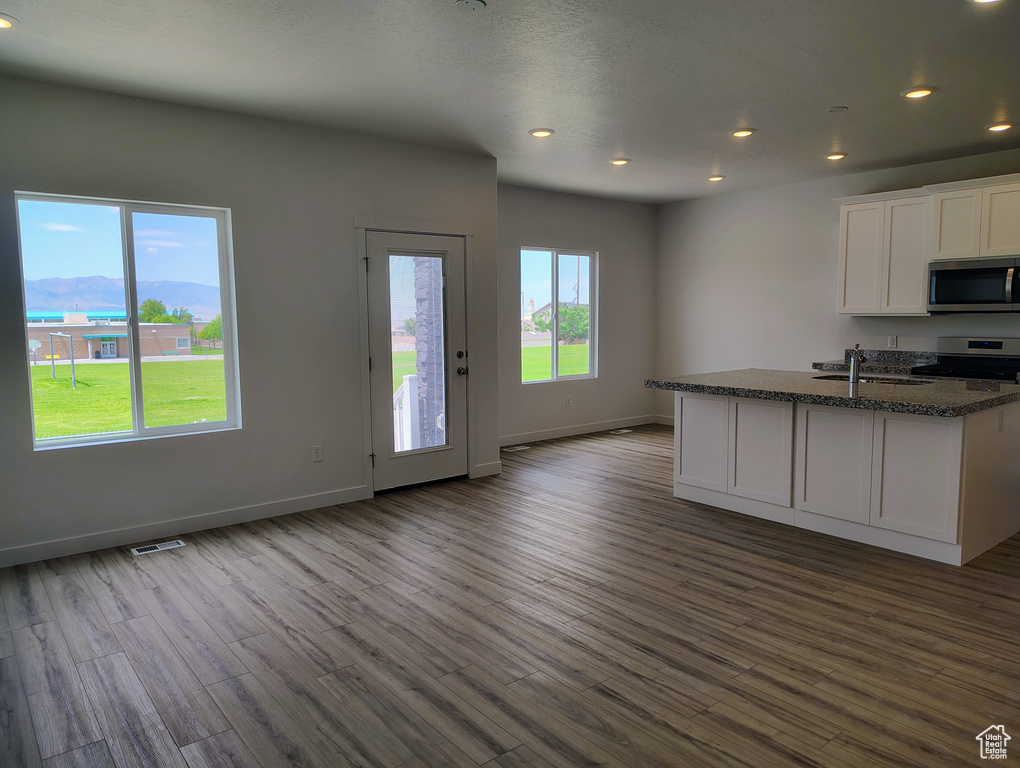 Kitchen with appliances with stainless steel finishes, recessed lighting, dark wood-style floors, white cabinets, and open floor plan