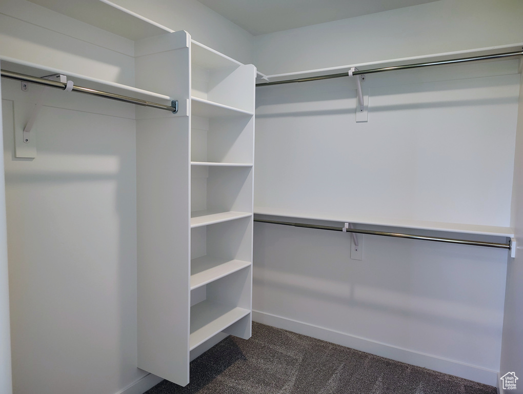 Walk in closet featuring dark carpet