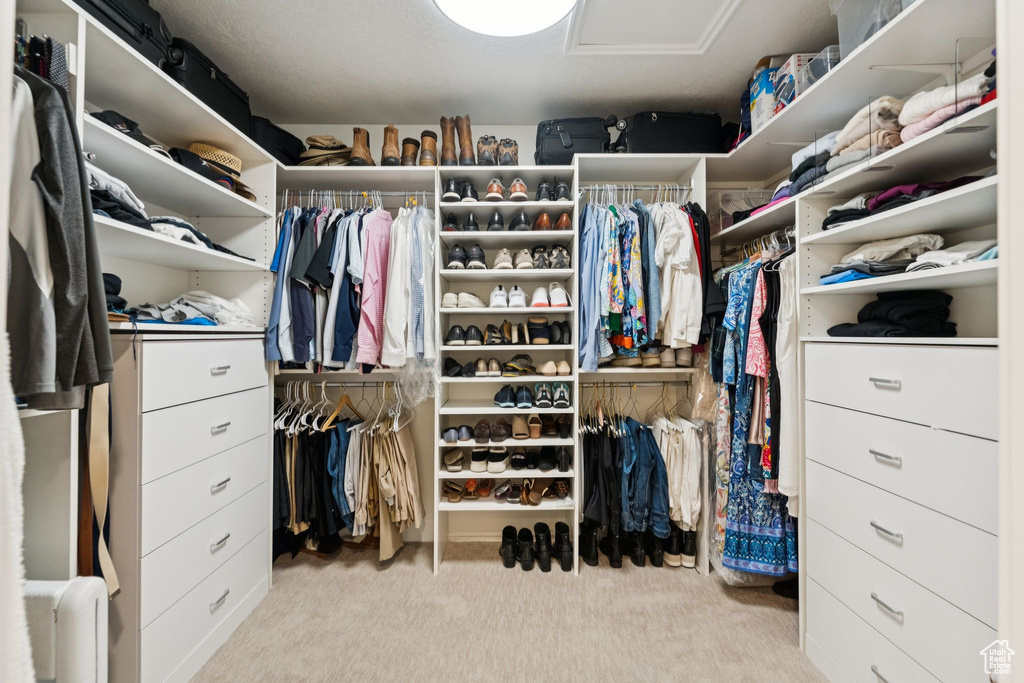 Walk in closet with carpet and attic access