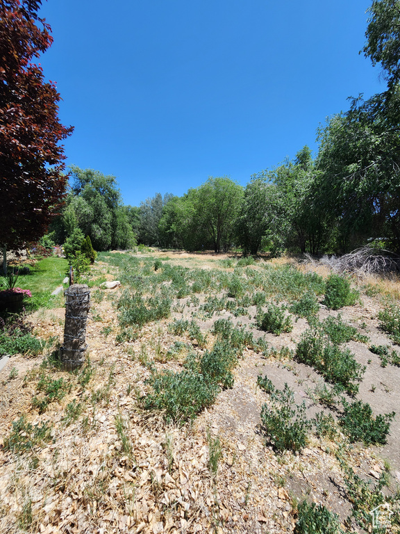 View of nature