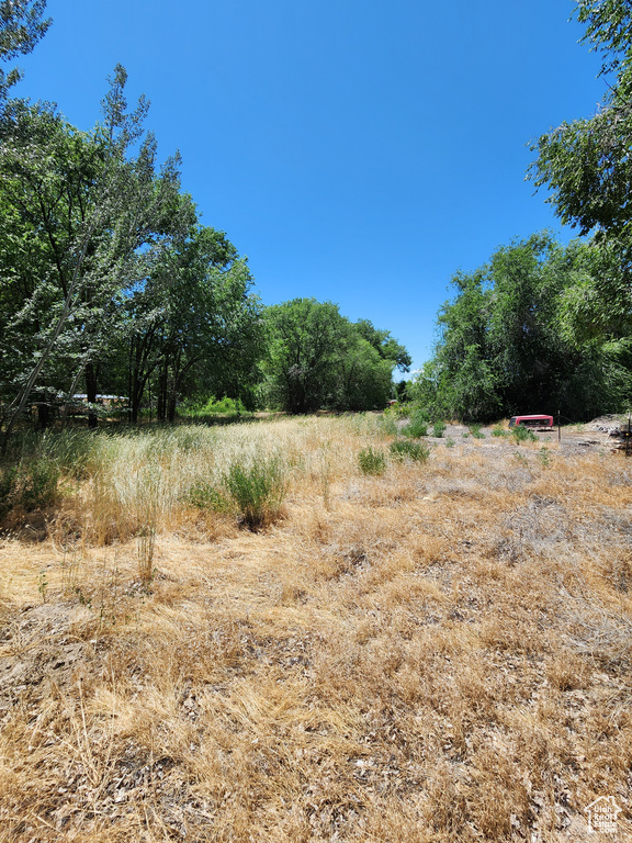 View of nature featuring rural landscape