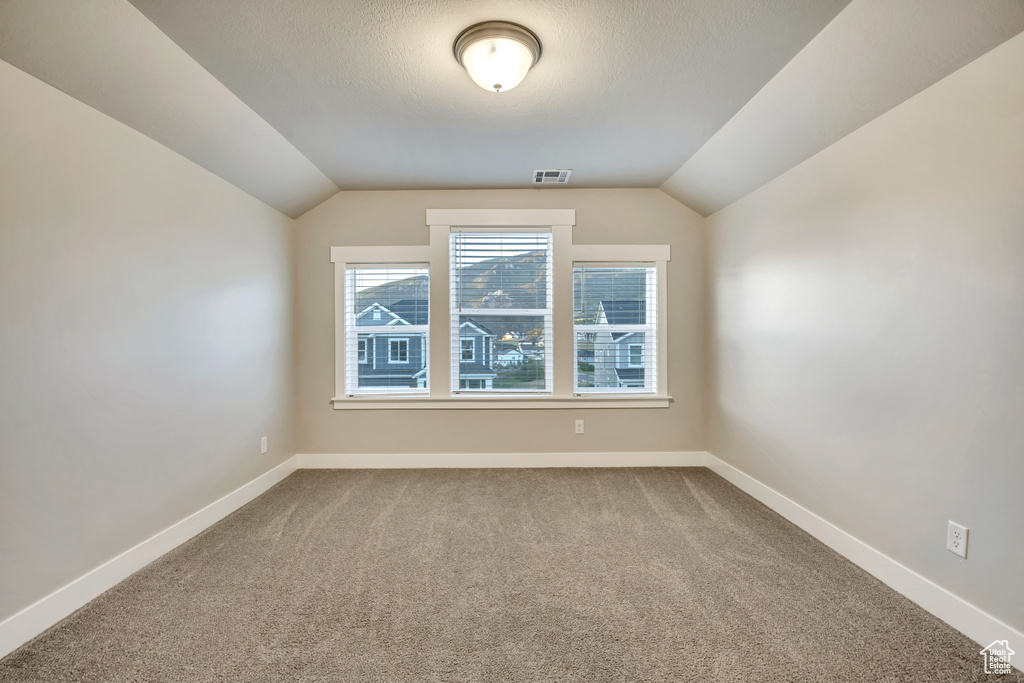 Additional living space featuring carpet floors and lofted ceiling