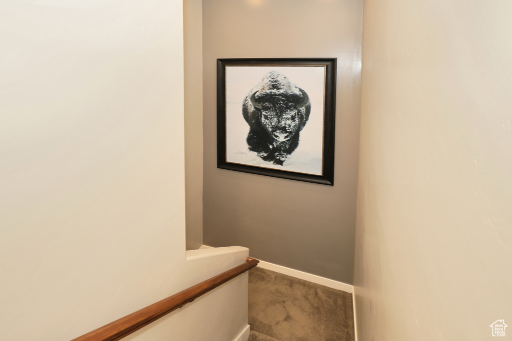 Stairway with carpet flooring and baseboards