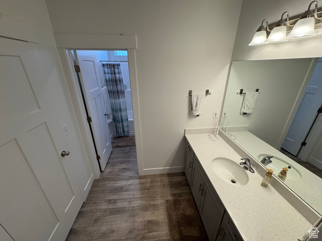 Bathroom featuring wood finished floors and vanity