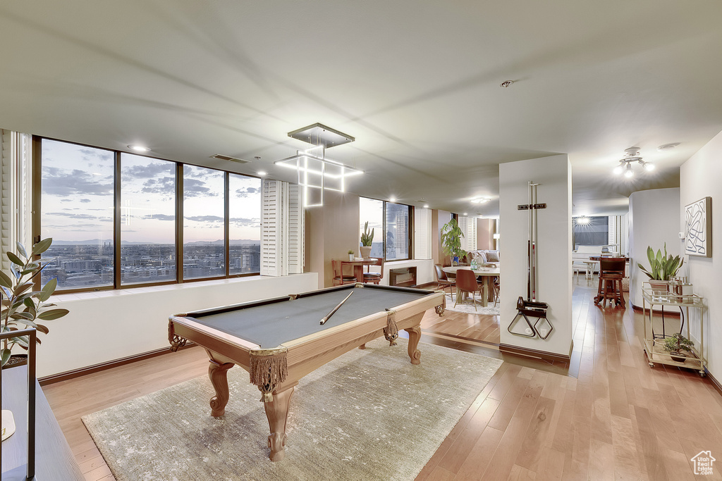 Rec room featuring wood finished floors and pool table