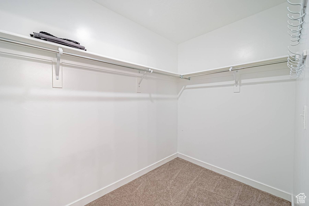 Spacious closet with carpet flooring