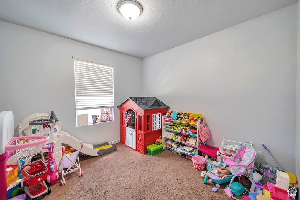 Rec room with carpet flooring